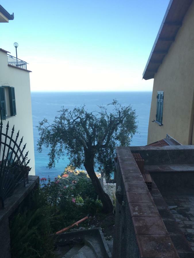 גרימלדי House In Grimaldi. Spectacular View Over The French Riviera! מראה חיצוני תמונה